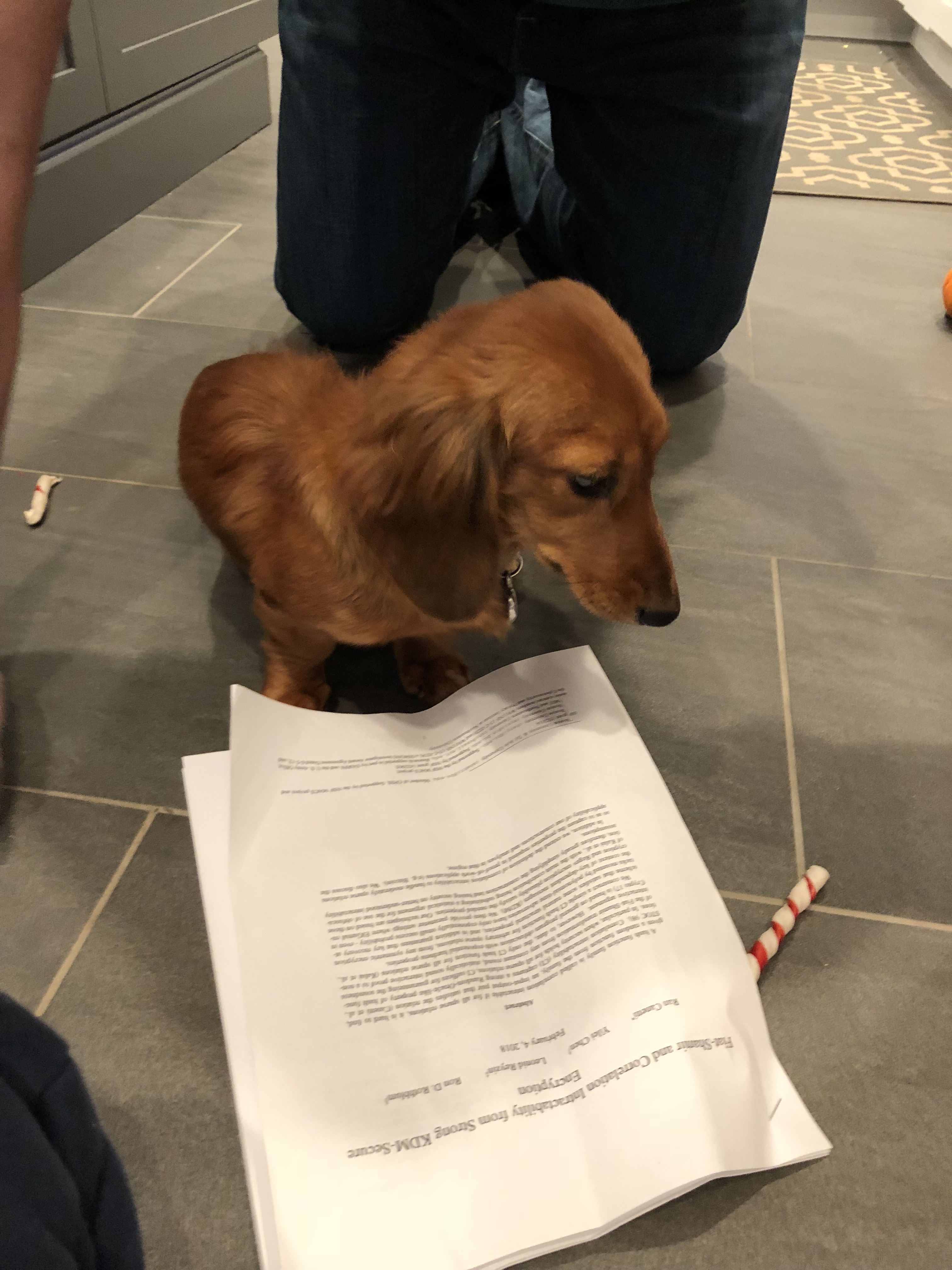 FBA1BABD-C60E-4AD9-A150-5D771BCE8FA3