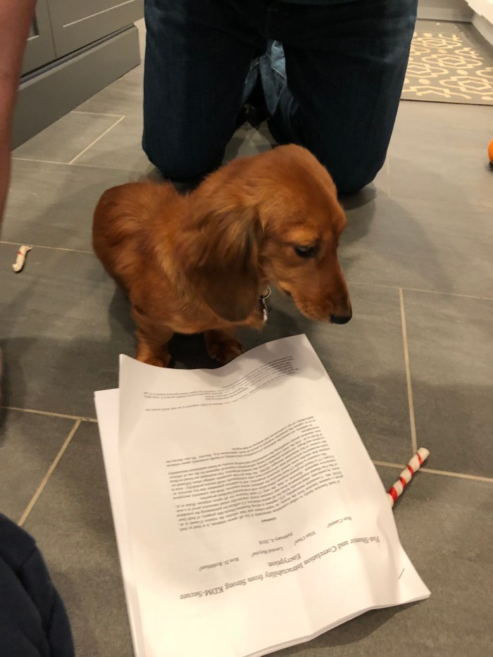 FBA1BABD-C60E-4AD9-A150-5D771BCE8FA3