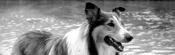 How does Apple (privately) find your offline&nbsp;devices?