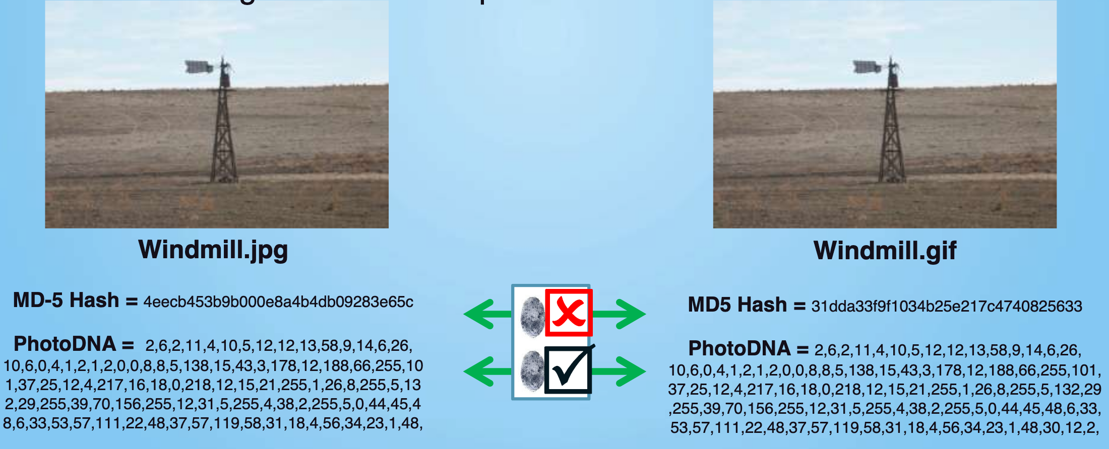 photodna2
